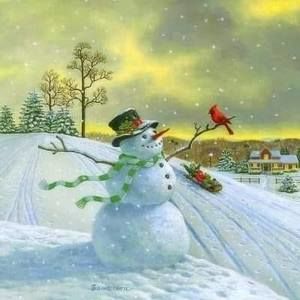 Meet your Posher, Cathy